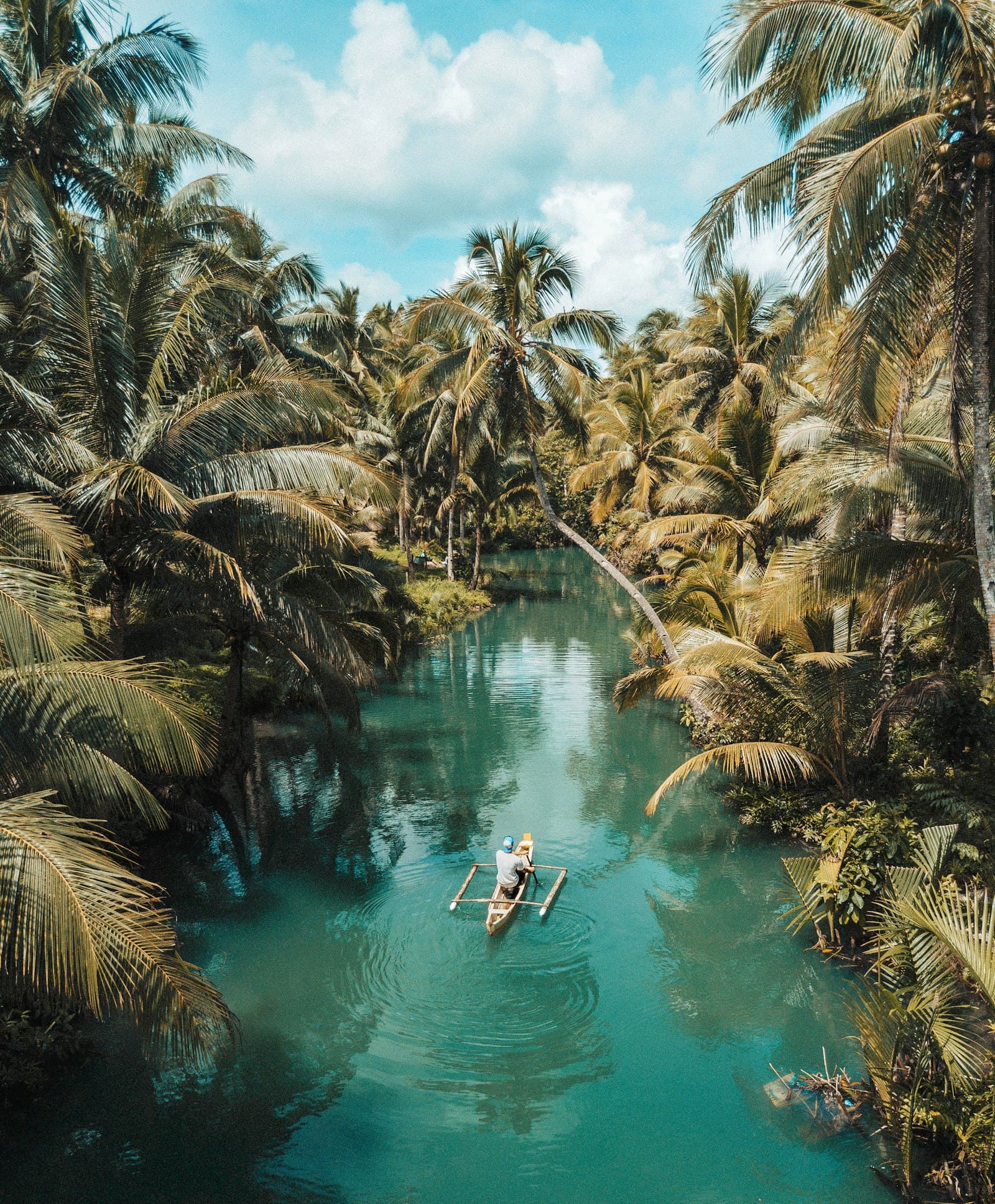A small boat drifting through a steep gorge walled with dense green jungle